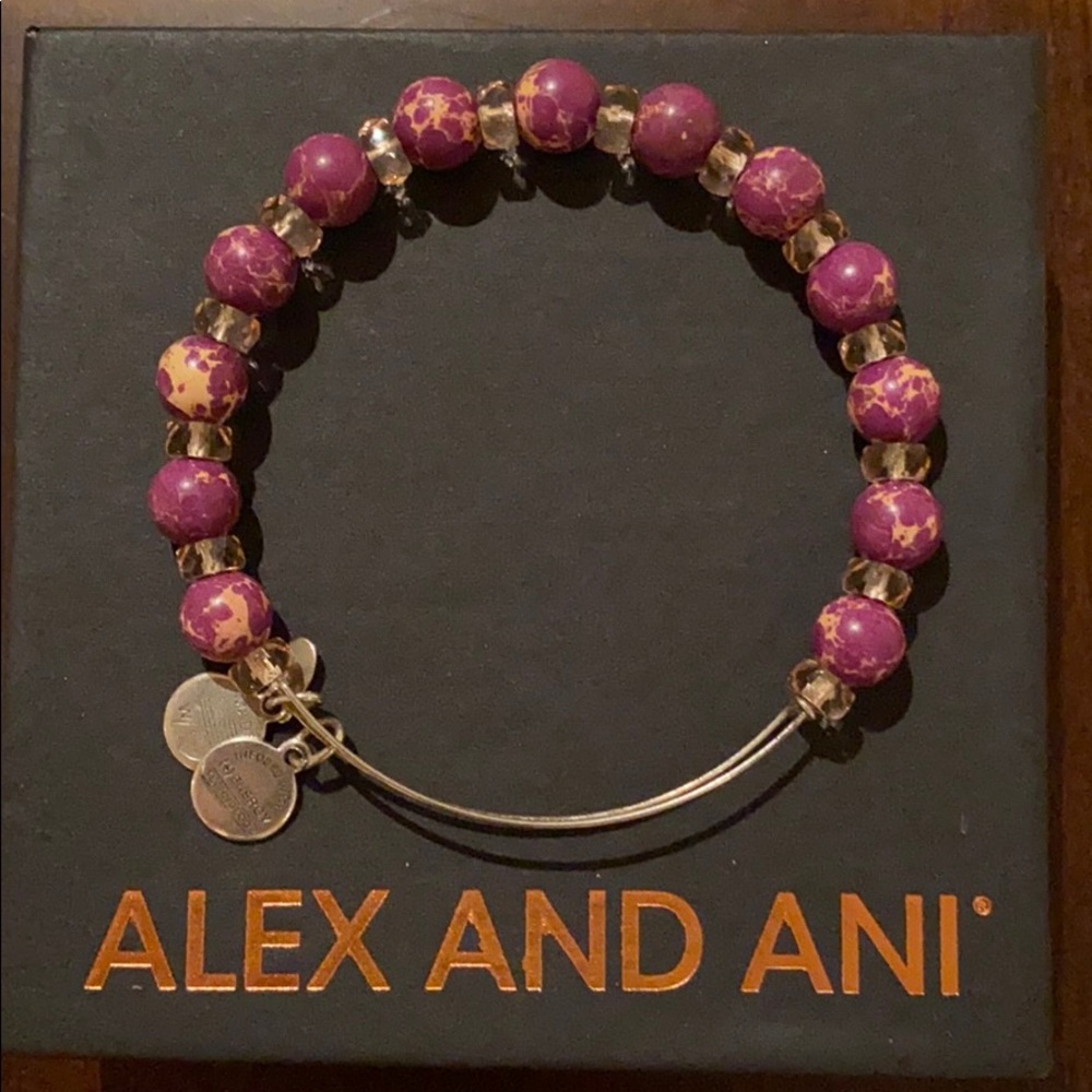 Alex and Ani purple carousel bracelet
